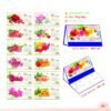 Lịch Để Bàn 2027 MT Mẫu MT48 (24 x 17cm) Tổng Kho Phân Phối Chiết Khấu Sâu 48% in logo doanh nghiệp quà tặng Tết tại Tổng Kho Quà Tặng 999